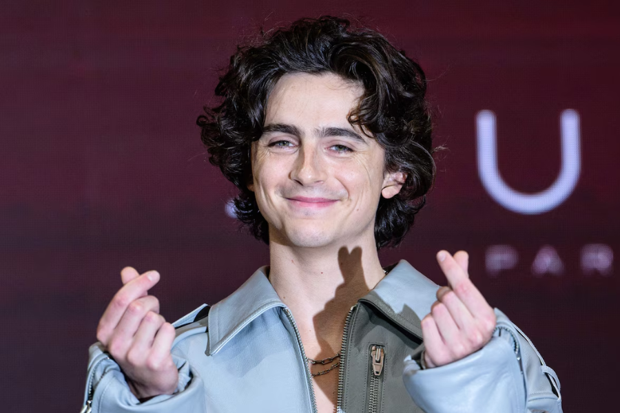 timothée chalamet