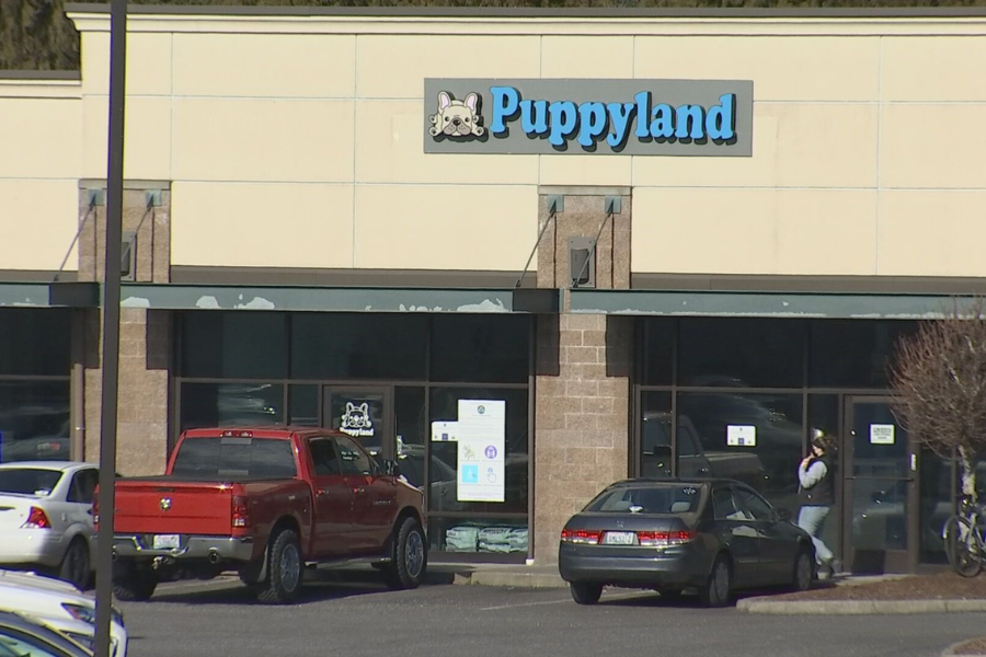 Puppyland: A Comprehensive Overview of the Controversial Pet Store