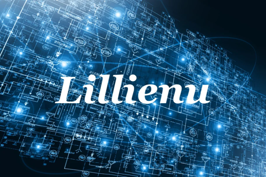 Lillienu: Revolutionizing Data Management and Decision Making